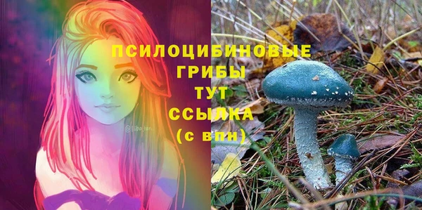 мескалин Армянск