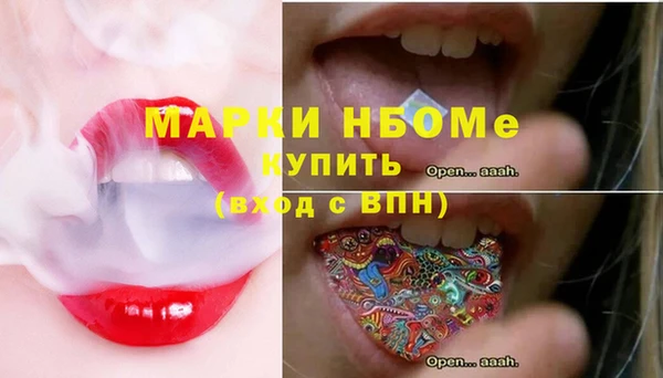 молекула духа Арсеньев