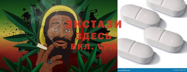 гидра Аркадак