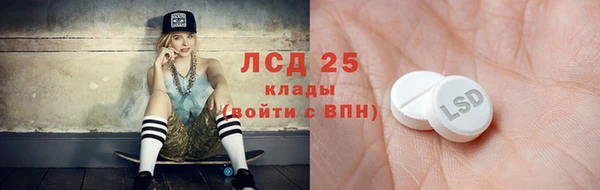 ГАЛЛЮЦИНОГЕННЫЕ ГРИБЫ Балахна