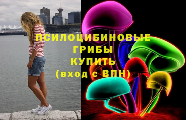 молекула духа Арсеньев