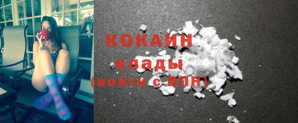 гидра Аркадак