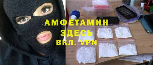 молекула духа Арсеньев