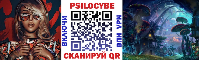 мега зеркало  Южно-Сухокумск  Псилоцибиновые грибы GOLDEN TEACHER 